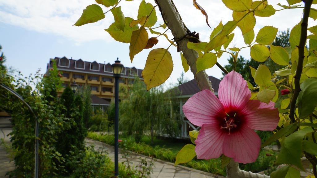 River Side Hotel Mingacevir Exterior foto